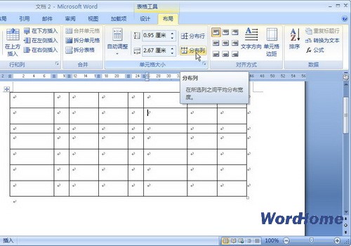 Word 2007ƽֲл