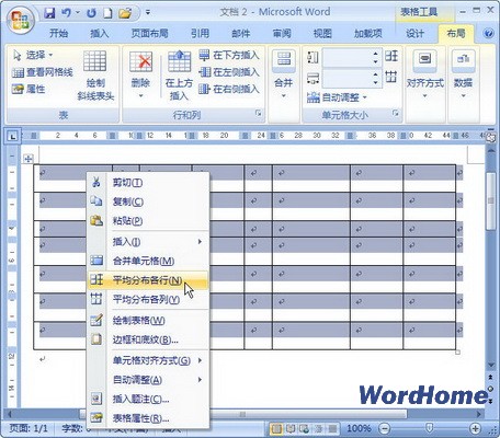 Word 2007ƽֲл